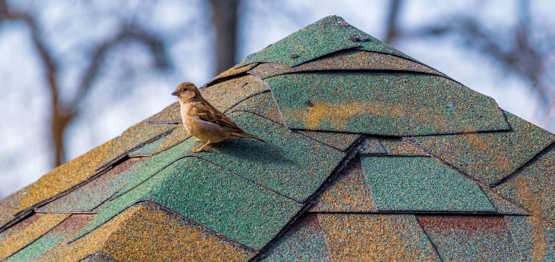 Storm Damage Repair – Devine